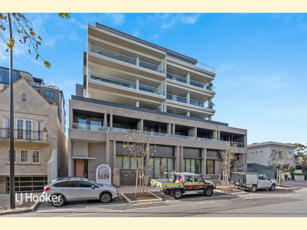 Spacious Brand New Apartment in the Heart of Norwood