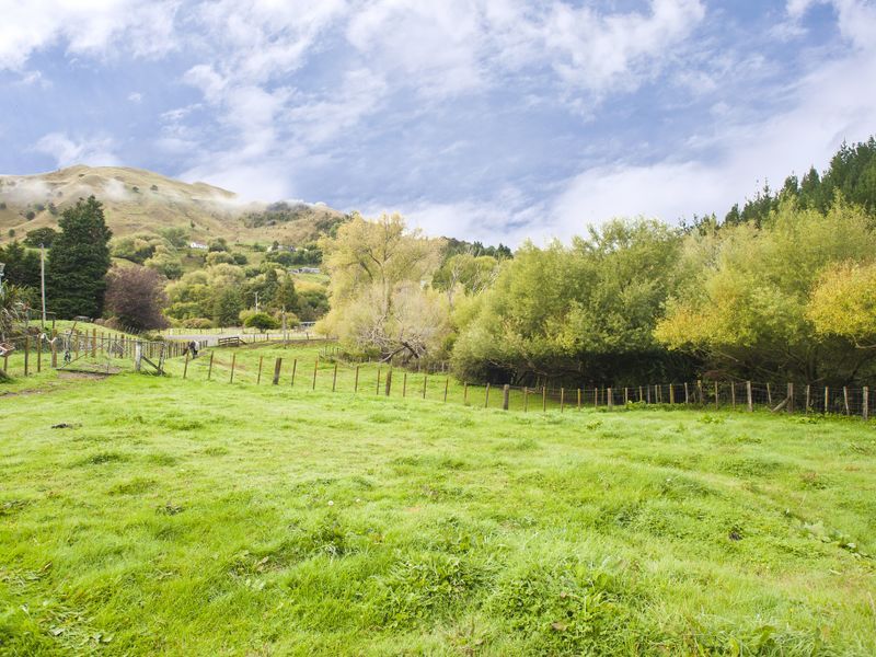 1902 Waingake Road, Waingake, Gisborne, 4房, 0浴