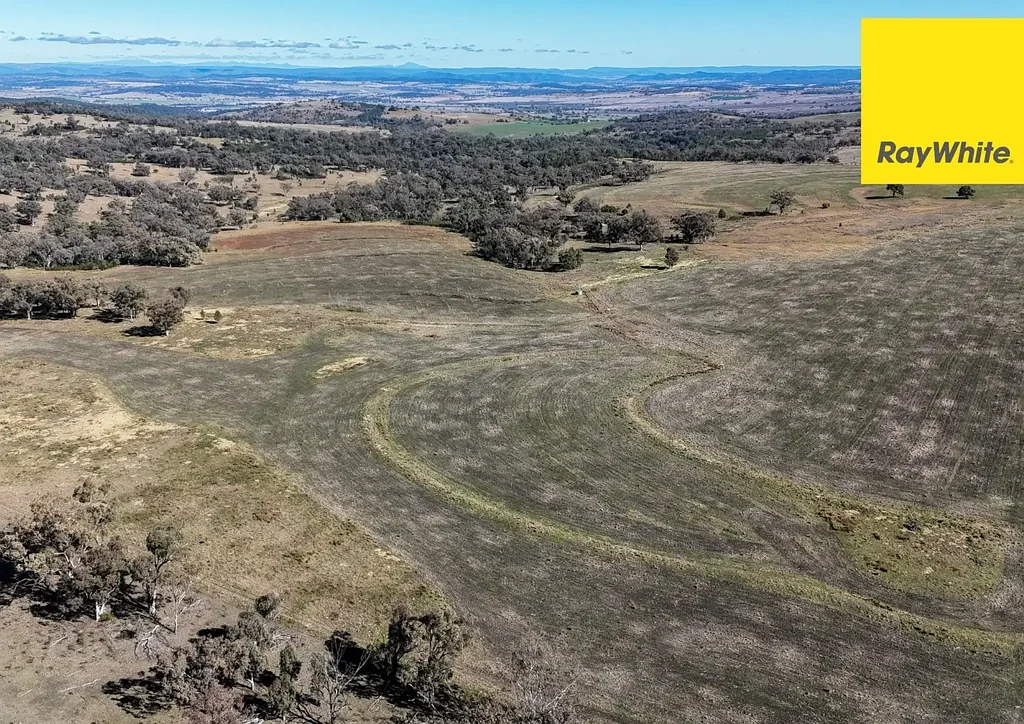 Inverell 'Breeder or Backgrounding Operation'