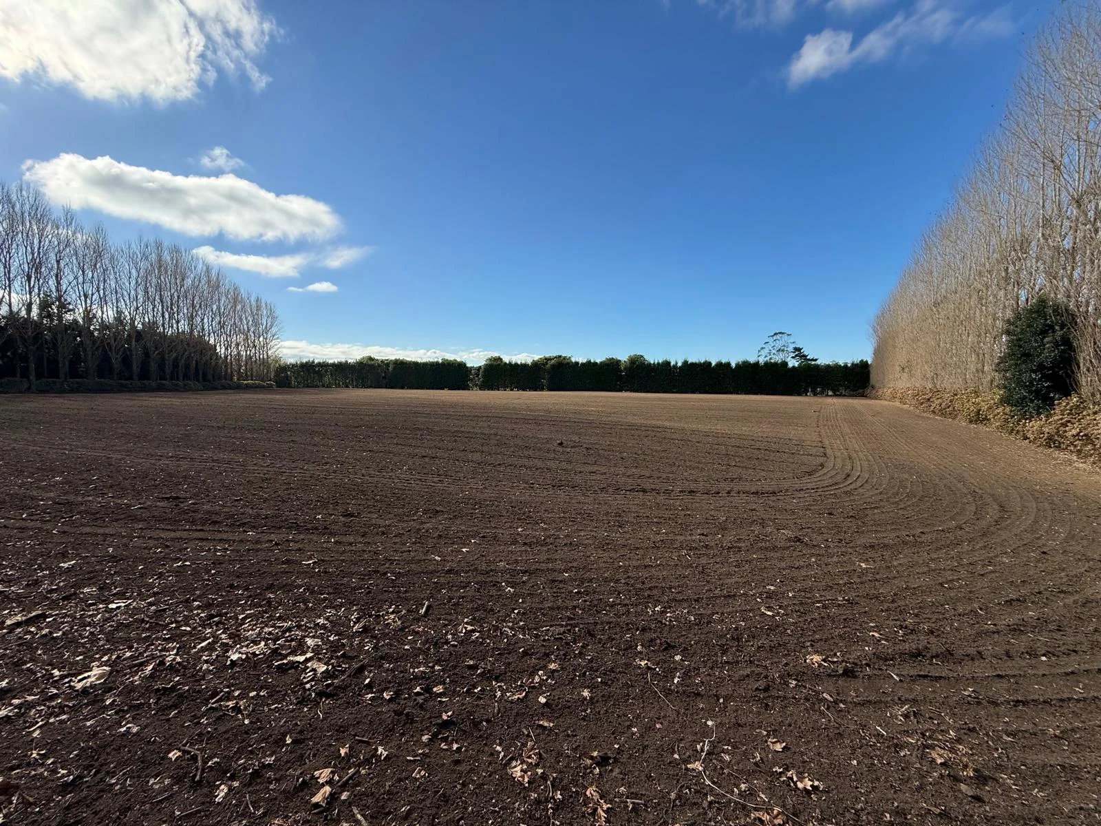 Katikati Prime Kiwifruit Opportunity – Lifestyle Included