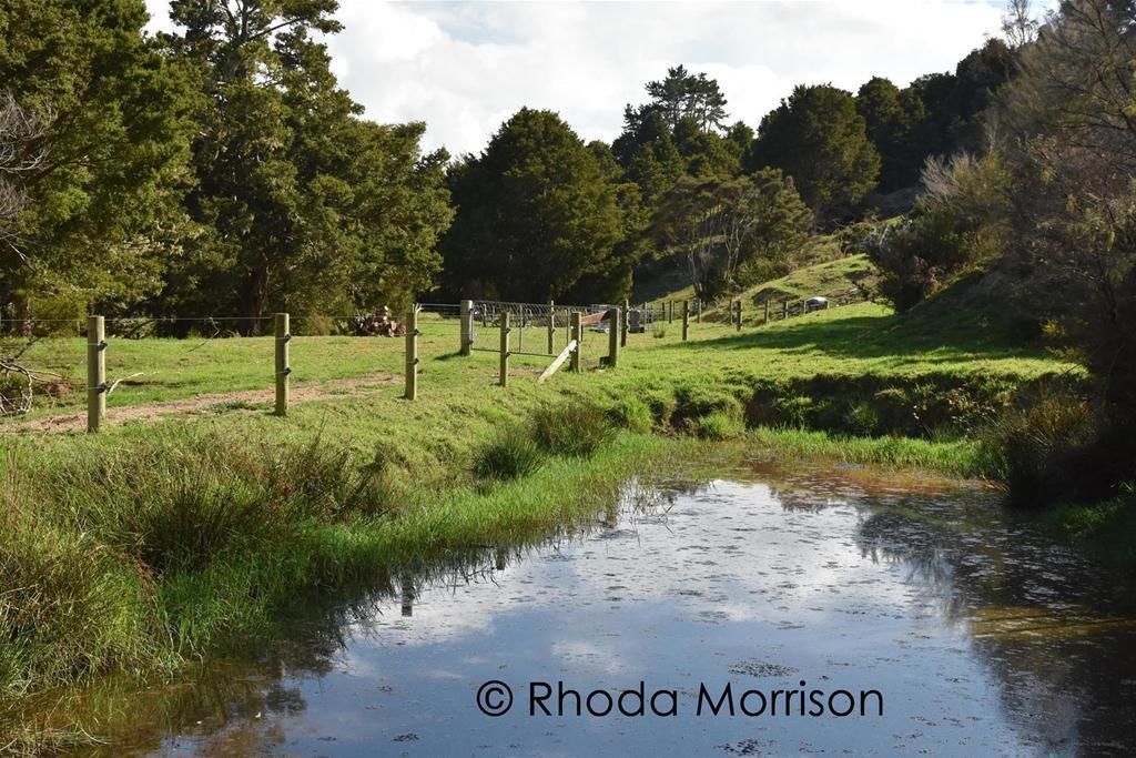 280 Central Road, Mareretu, Kaipara, 3房, 0浴