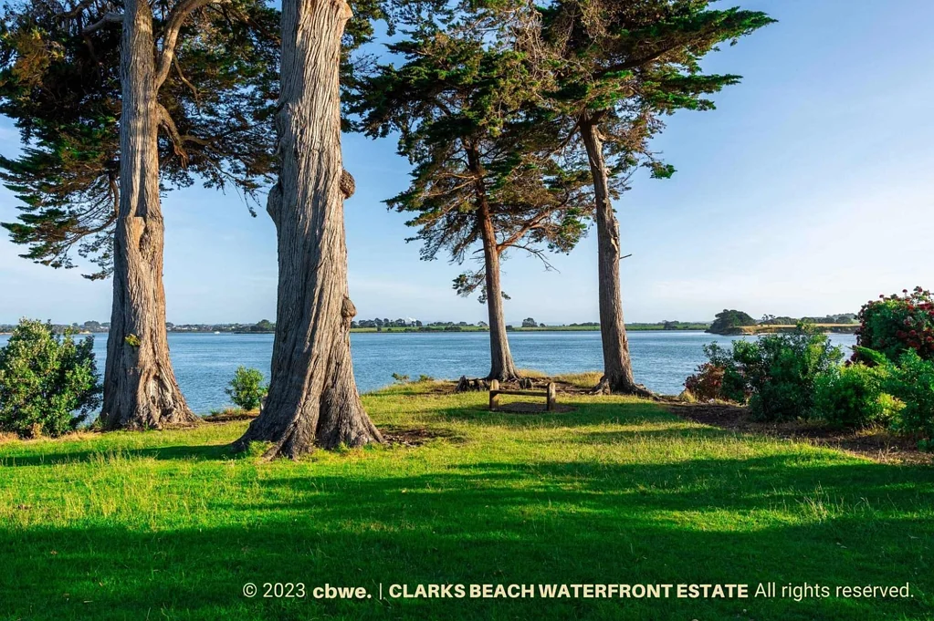 Clarks Beach  Discover the Charm