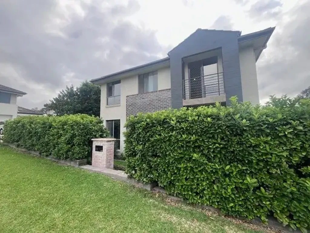 Perfect home with the lot
