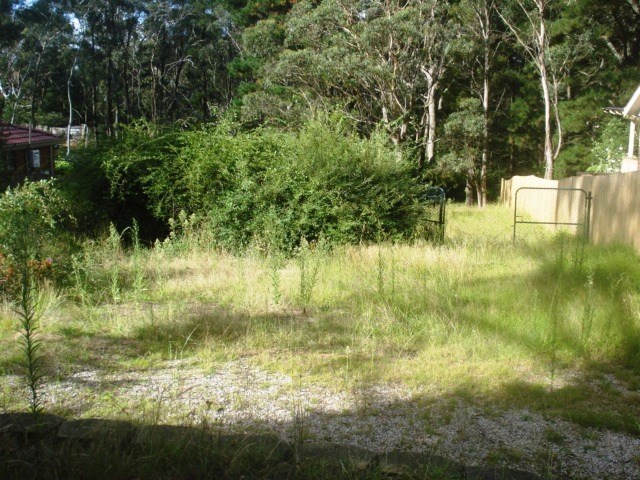 341 GREAT WESTERN HWY, BLACKHEATH NSW 2785, 0 chambres, 0 salles de bain, Section