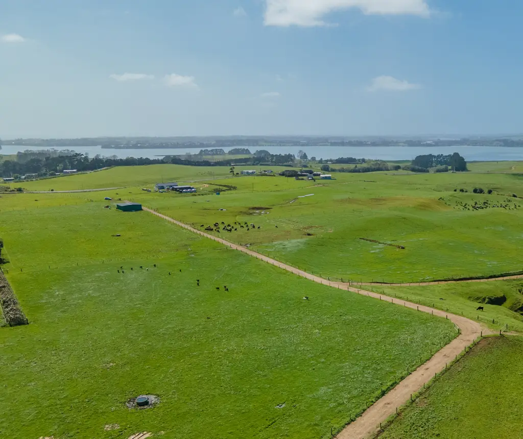 Waiuku Goes With Winter Milk Supply Contract