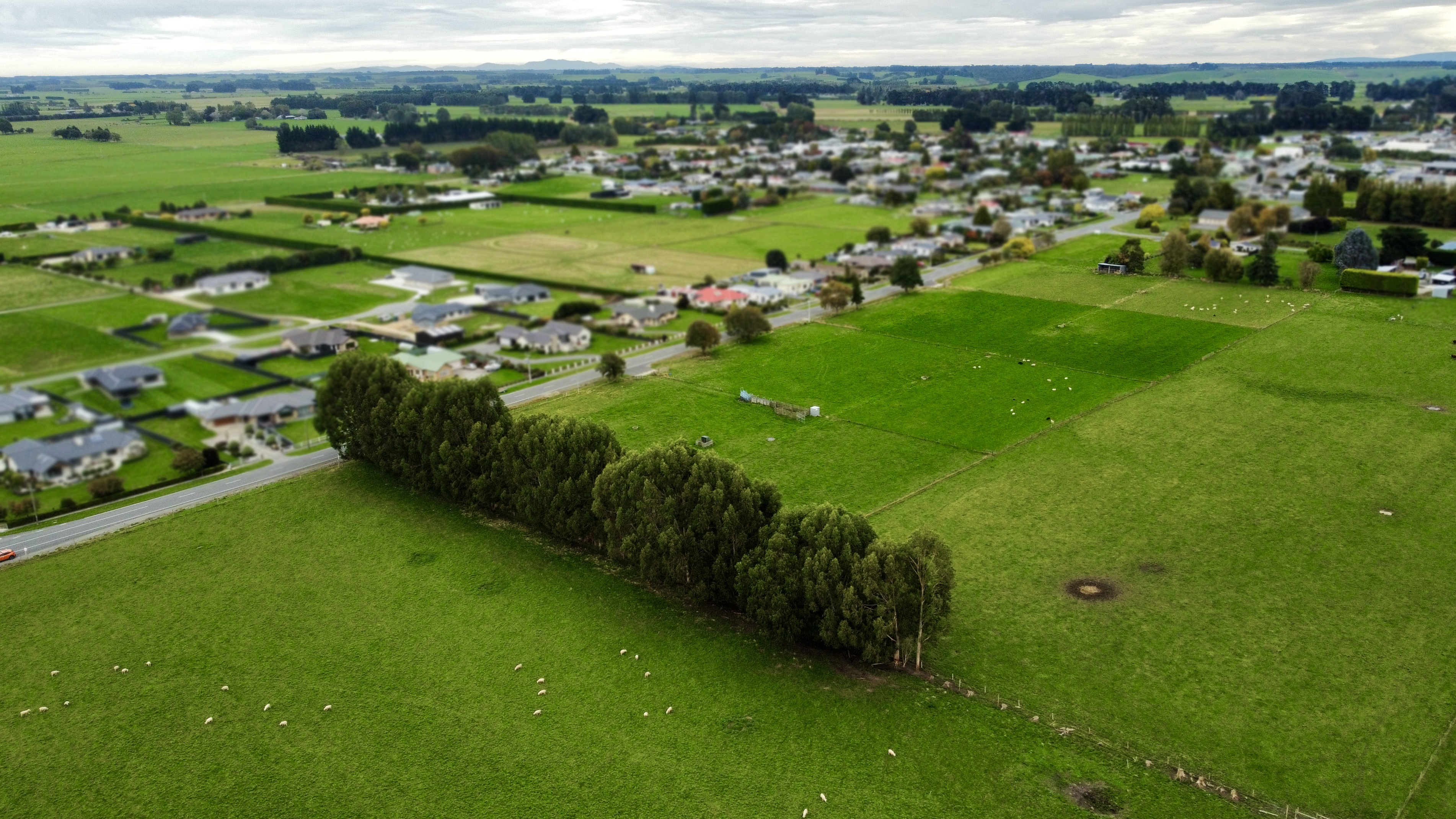 149 Ferry Road, Edendale, Southland, 0 ਕਮਰੇ, 0 ਬਾਥਰੂਮ, Section