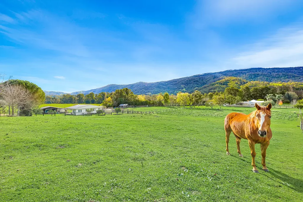 Murrurundi Generous 1/2 Acre with Stunning Views