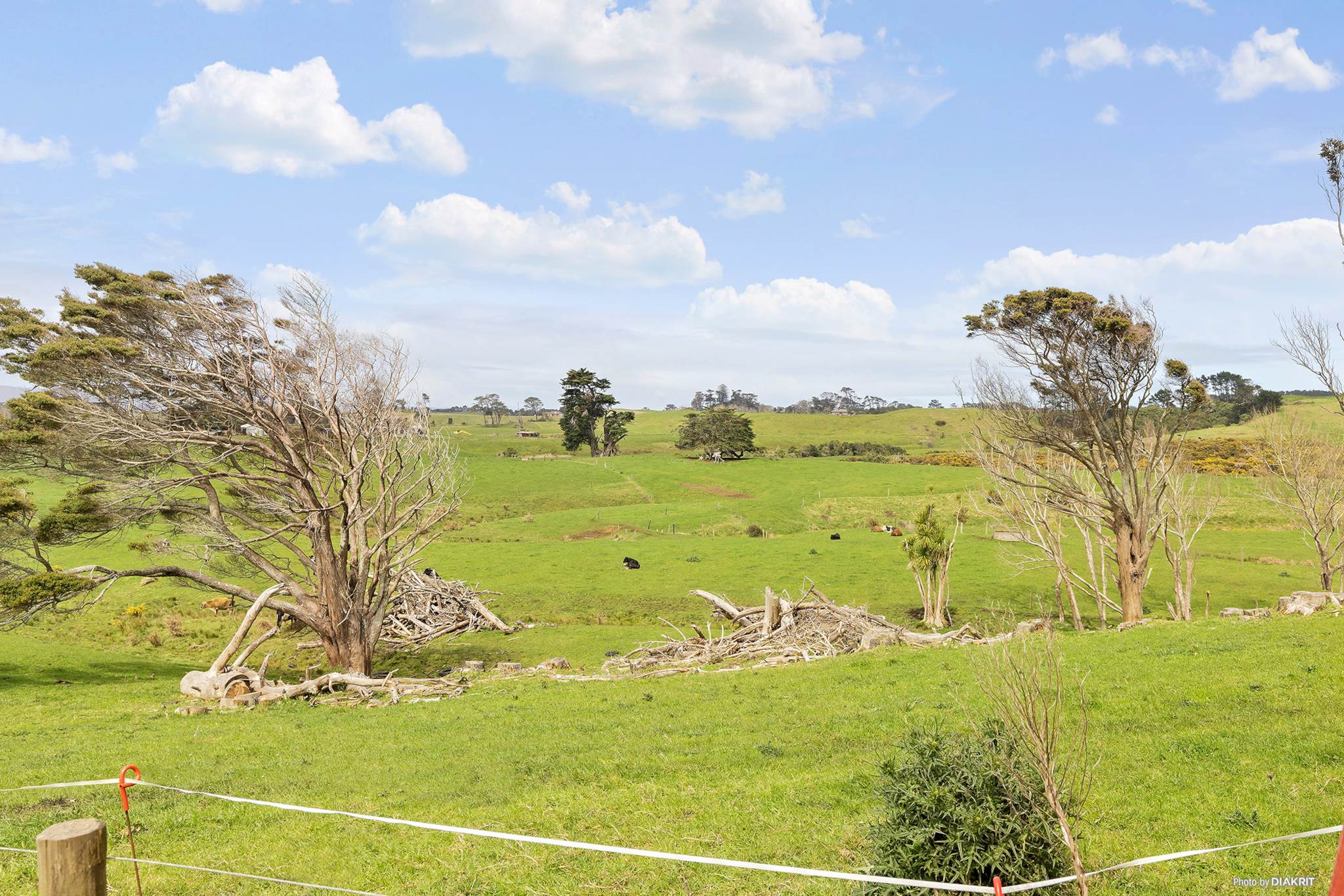 207 Kaihau Road, Waiuku, photo 9