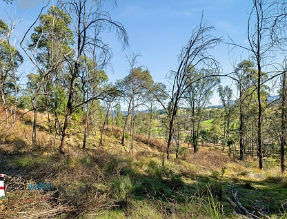 Lot 20, Lot 21, Lot And Lot 25 Cowdery Street, Cobargo, South Coast, 0 chambres, 0 salles de bain, Section