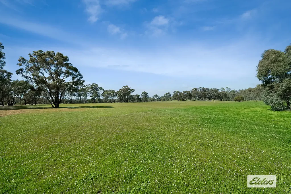 Longlea Extremely Appealing Building Allotment - 4.5Ha / 11 Acres