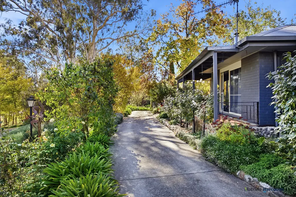 Alexandra 3房  Impressive Country Home