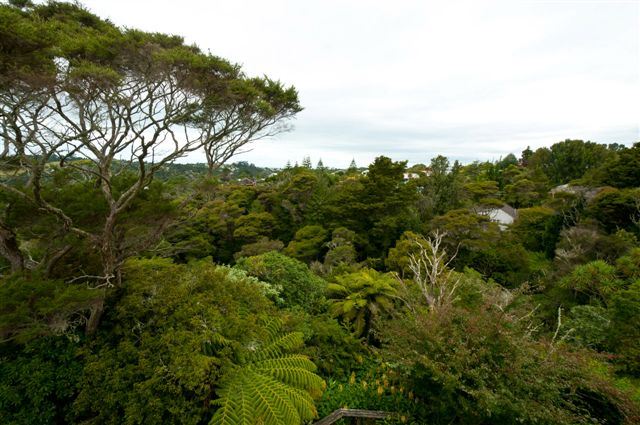 14/19a Verbena Road, Birkdale, Auckland - North Shore, 1 ห้องนอน, 1 ห้องน้ำ