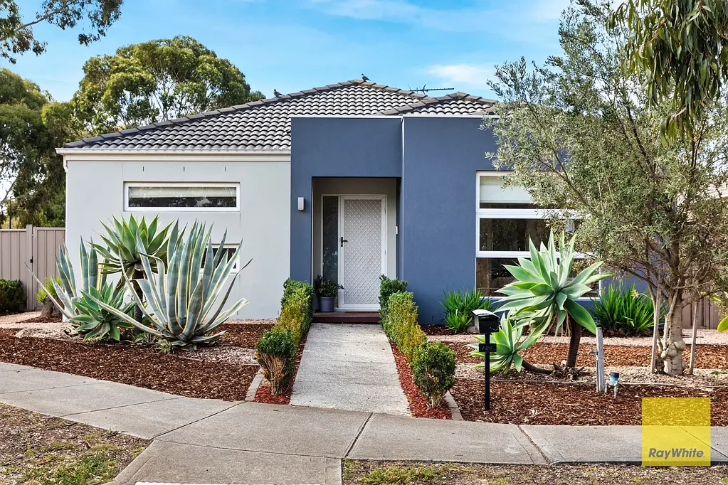 Burnside Heights 4房  Peaceful, private and perfectly positioned.