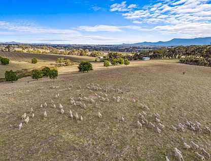 Lots 50A-15 Westgate Road, Armstrong, Horsham, 0 침실, 0 욕실, Lifestyle Property