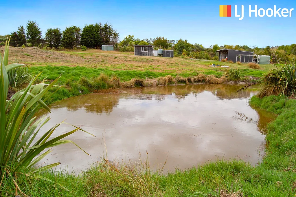 Kaiwaka 2.74Ha Lifestyle - Build - Grow - Thrive
