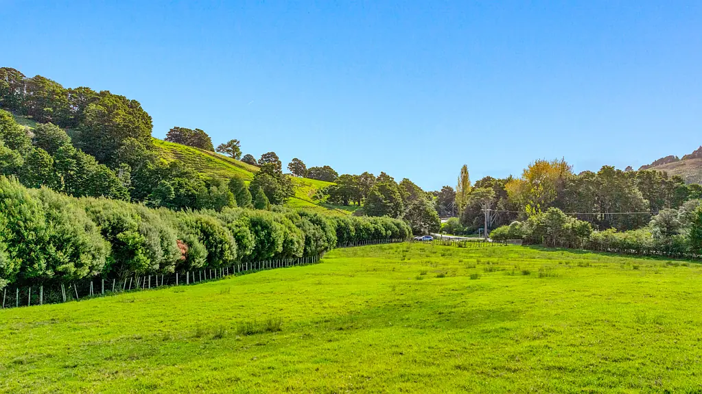 Whangaripo Make me an offer!