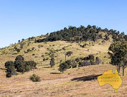 1278 TOP GURGEENA ROAD, Branch Creek, QLD 4625, 4房, 1浴, 乡村住宅