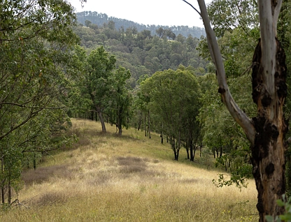 Lot 78 McPhersons Country Estate, Enfield Range Road, Cells River, Hunter, 0 Kuwarto, 0 Banyo, Lifestyle Property