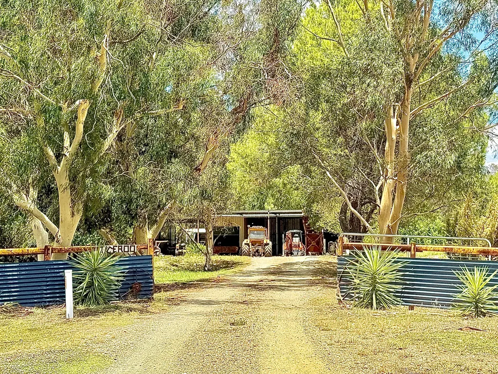 Condobolin  🌿UNLOCK THE ULTIMATE RURAL LIFESTYLE: ‘TIGEROO’ 🌿