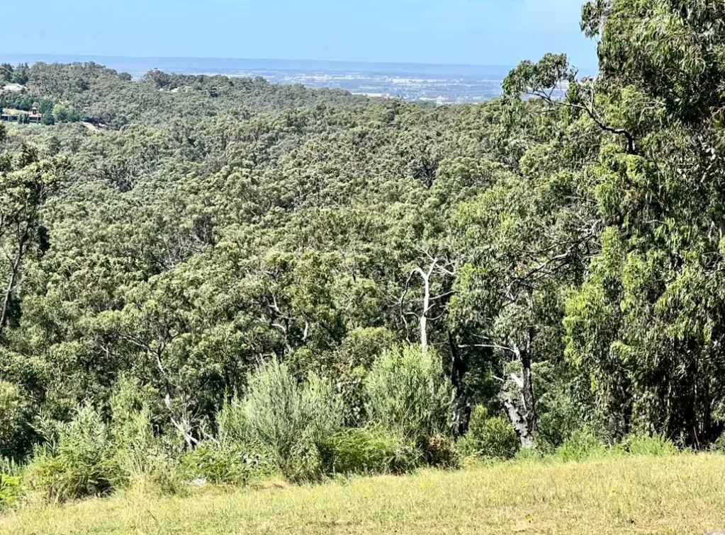 23 Hughendon Road, Beaconsfield Upper, VIC 3808