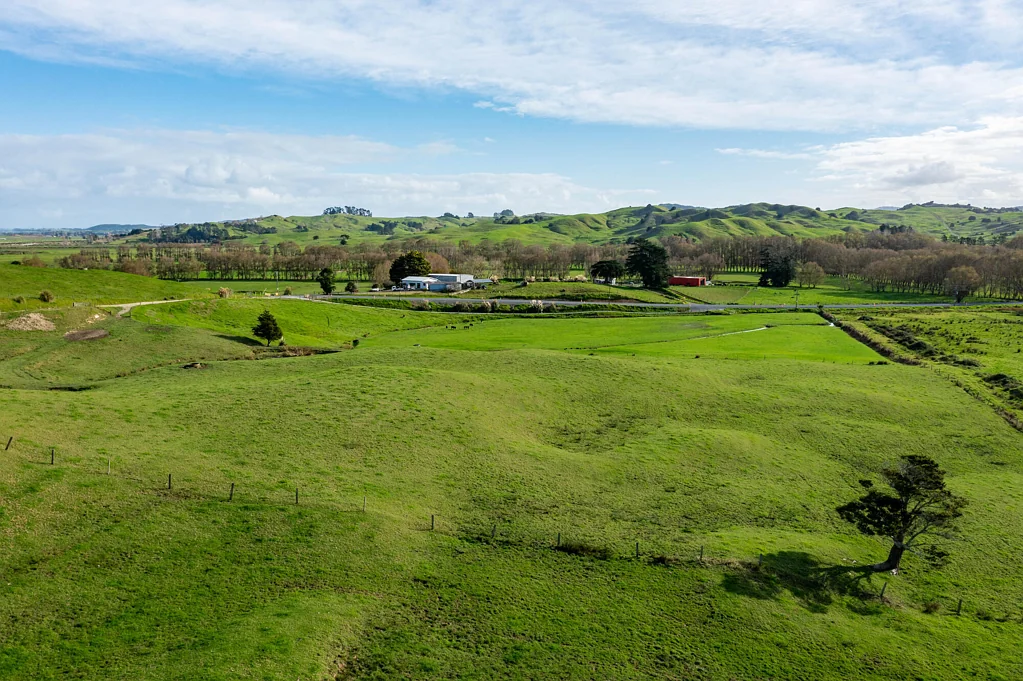 Dargaville Surrounds Create your perfect country lifestyle