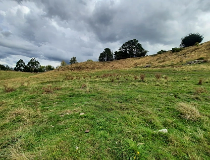 513 Zig Zag Road, Pohangina, Manawatu, Manawatu-Wanganui, 0房, 0浴, Lifestyle Section