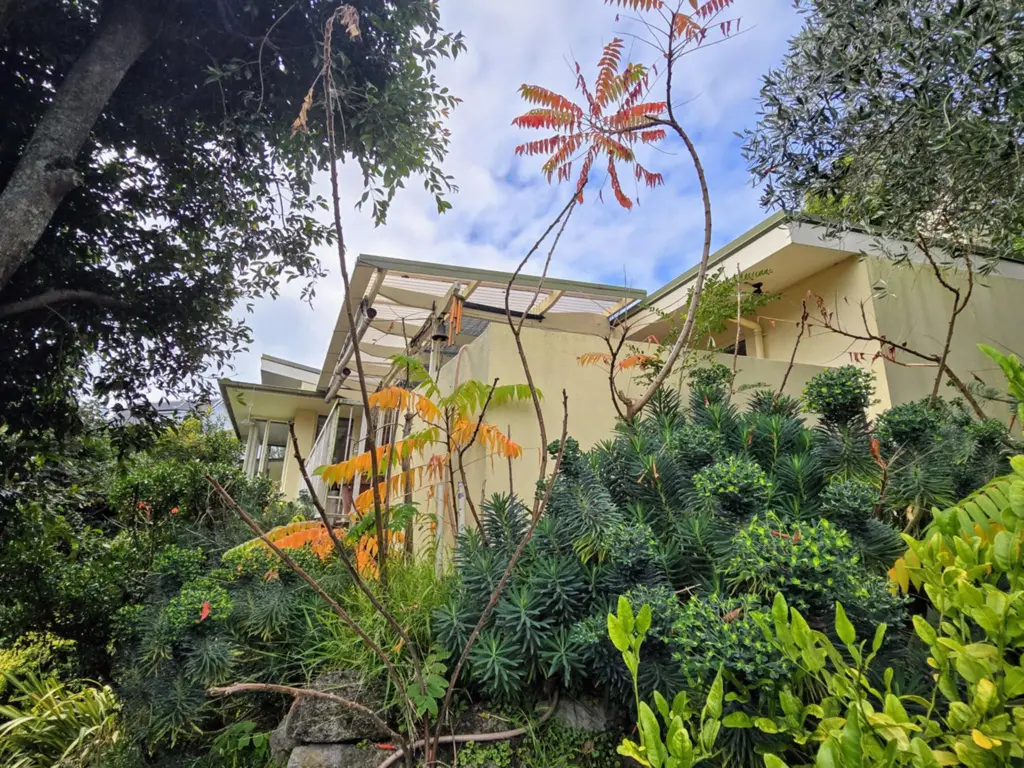 Napier Hill 3房  Prime hill location – serious sellers