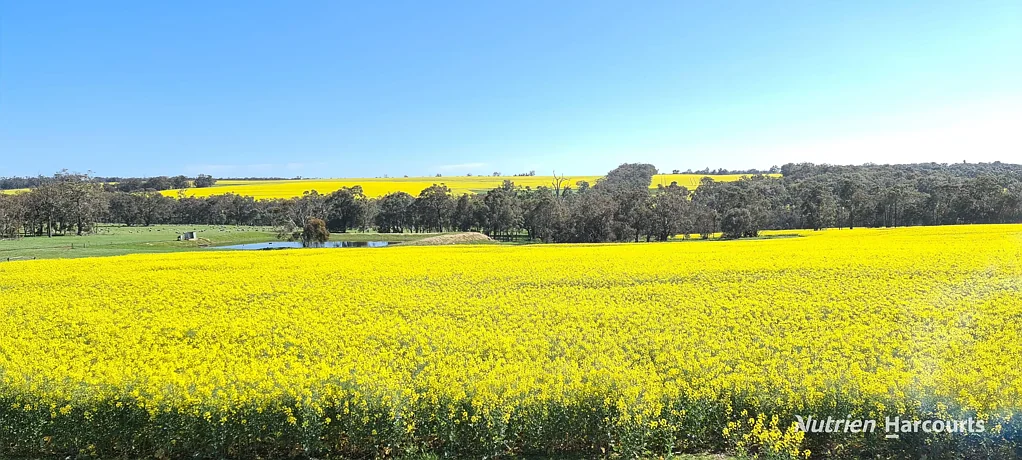 Frankland River Very reliable productive broadacre property. As good as it gets in farming!