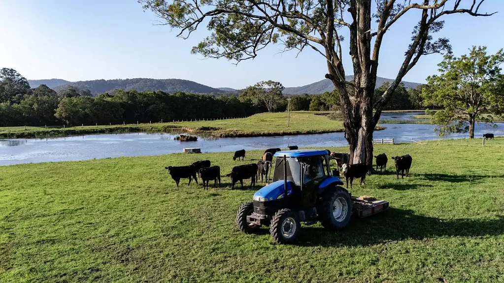 Nabiac Classic Country Family Farm