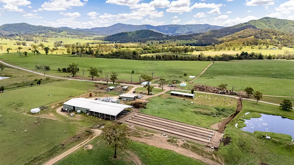 Ellenborough Tom's Creek Dairy