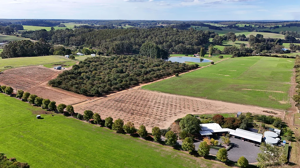 Manjimup Aesthetic, productive, income earning