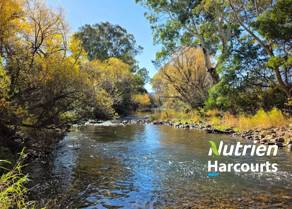 Cheshunt  158 Ac King River Frontage, Irrigation, Grazing, Bush at rear.