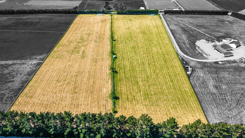 Sefton  Views and Privacy