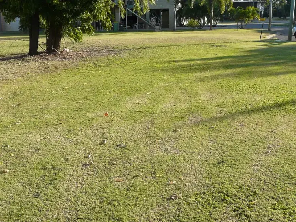 Groper Creek Go Fishing, Prawning, Crabbing Everyday