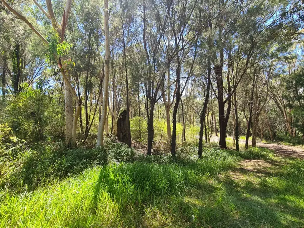 5 Seaward Drive, Russell Island, QLD 4184