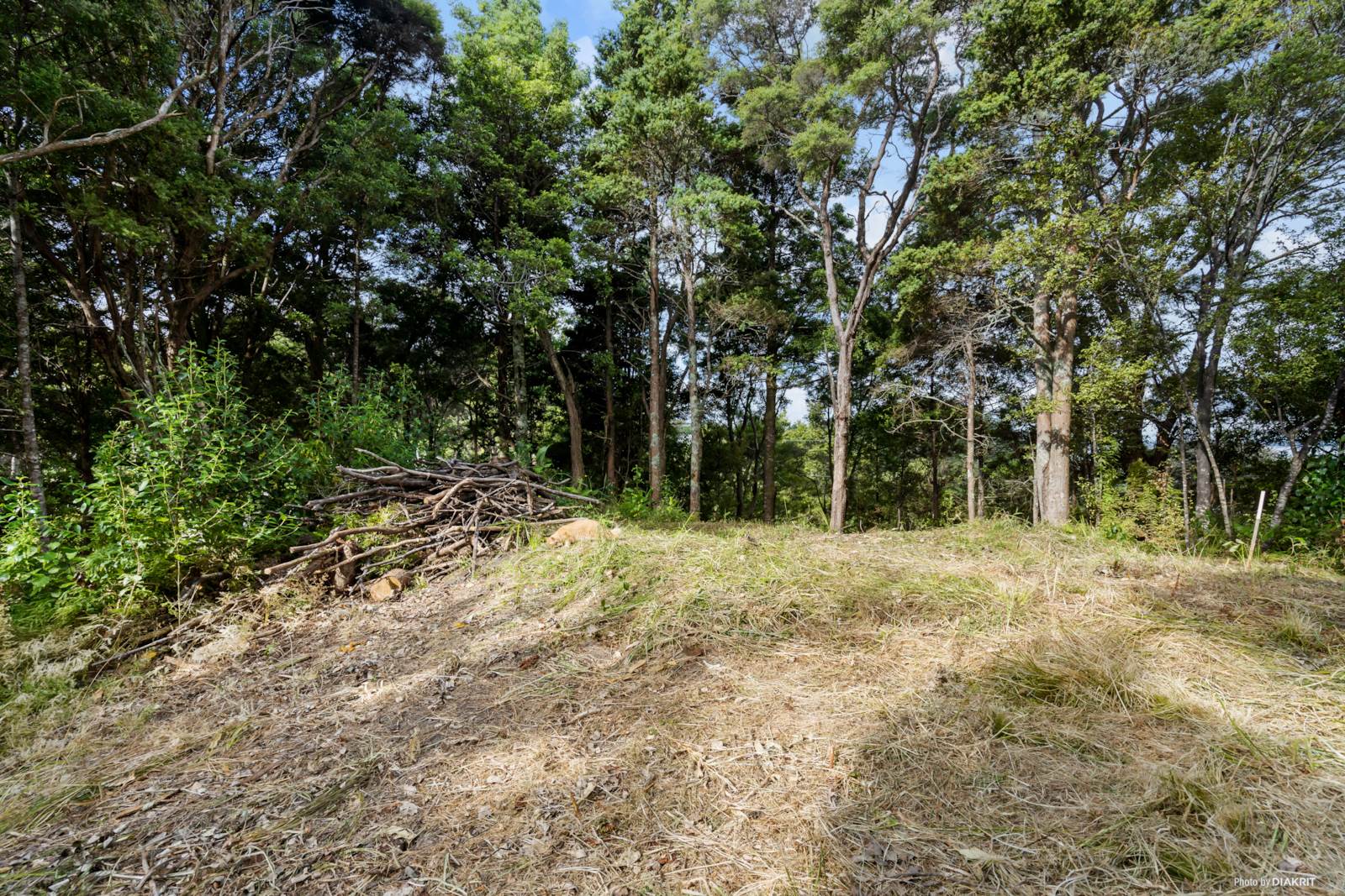 33 Kauri Point Road, Laingholm, Auckland - Waitakere, 0 habitaciones, 0 baños, Section