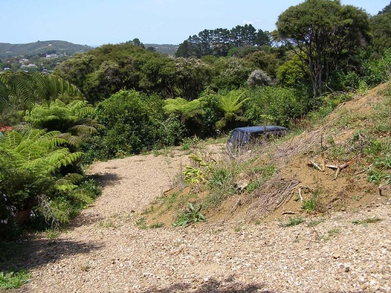 Hauraki Gulf Islands