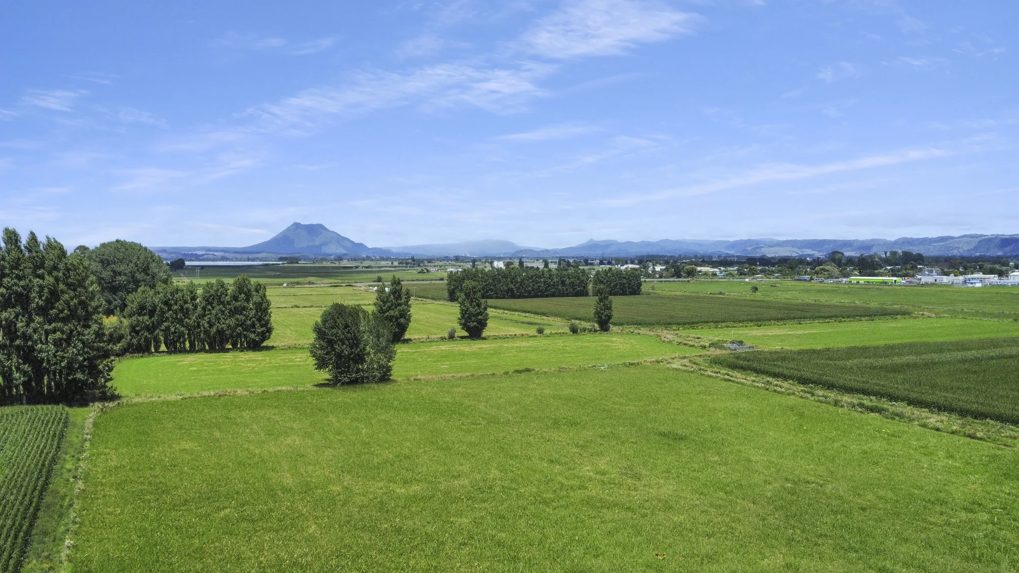 Edgecumbe Dairy support or lifestyle development