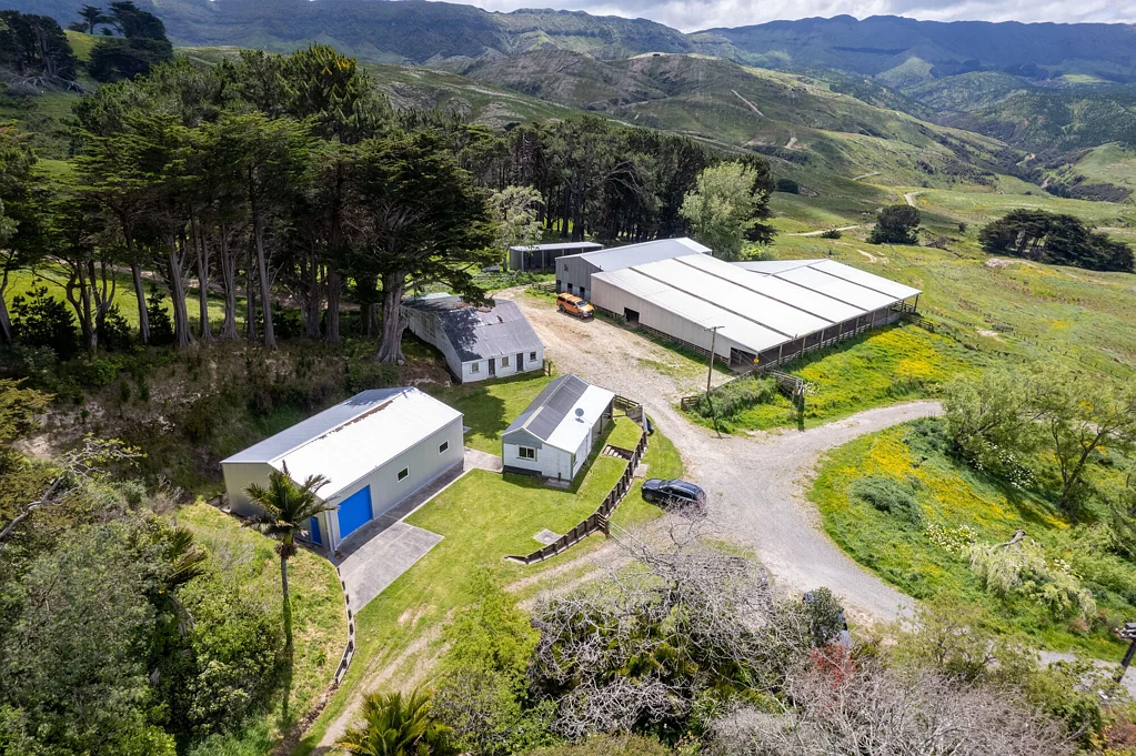 Pongaroa Lifestyle, shedding and elevation on 15.97 ha