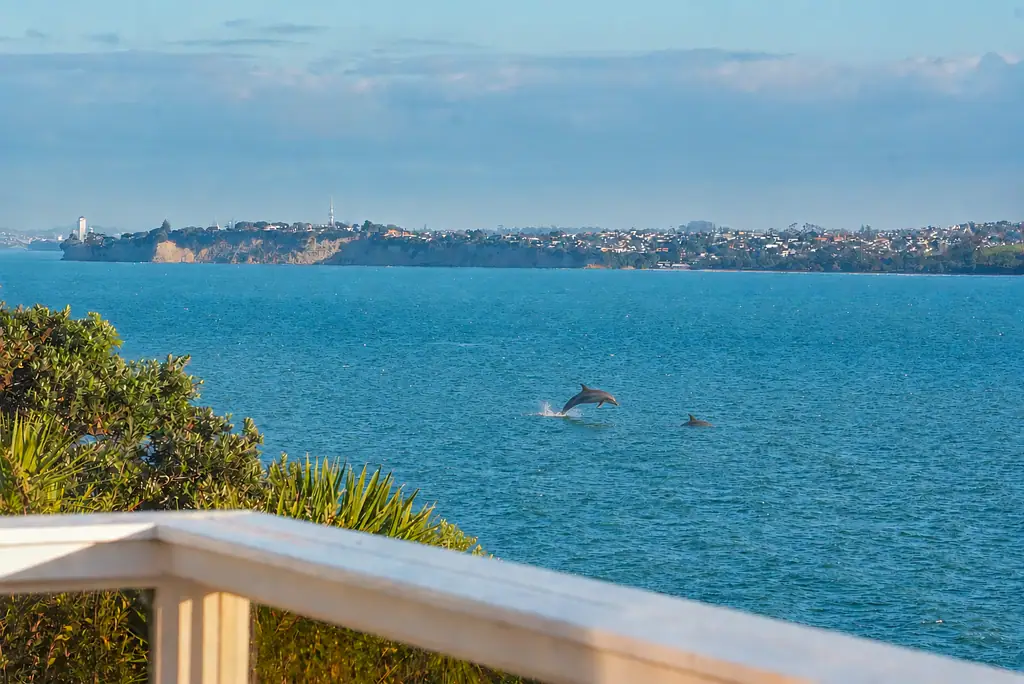 Manly 5房  COASTAL LANDHOLDING WITH ENDLESS POTENTIAL