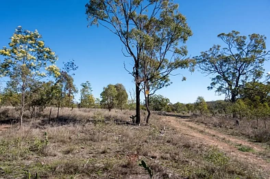 Adres Weerhou, Thanes Creek, QLD 4370, 0 slaapkamers, 0 badkamers, Lifestyle Property