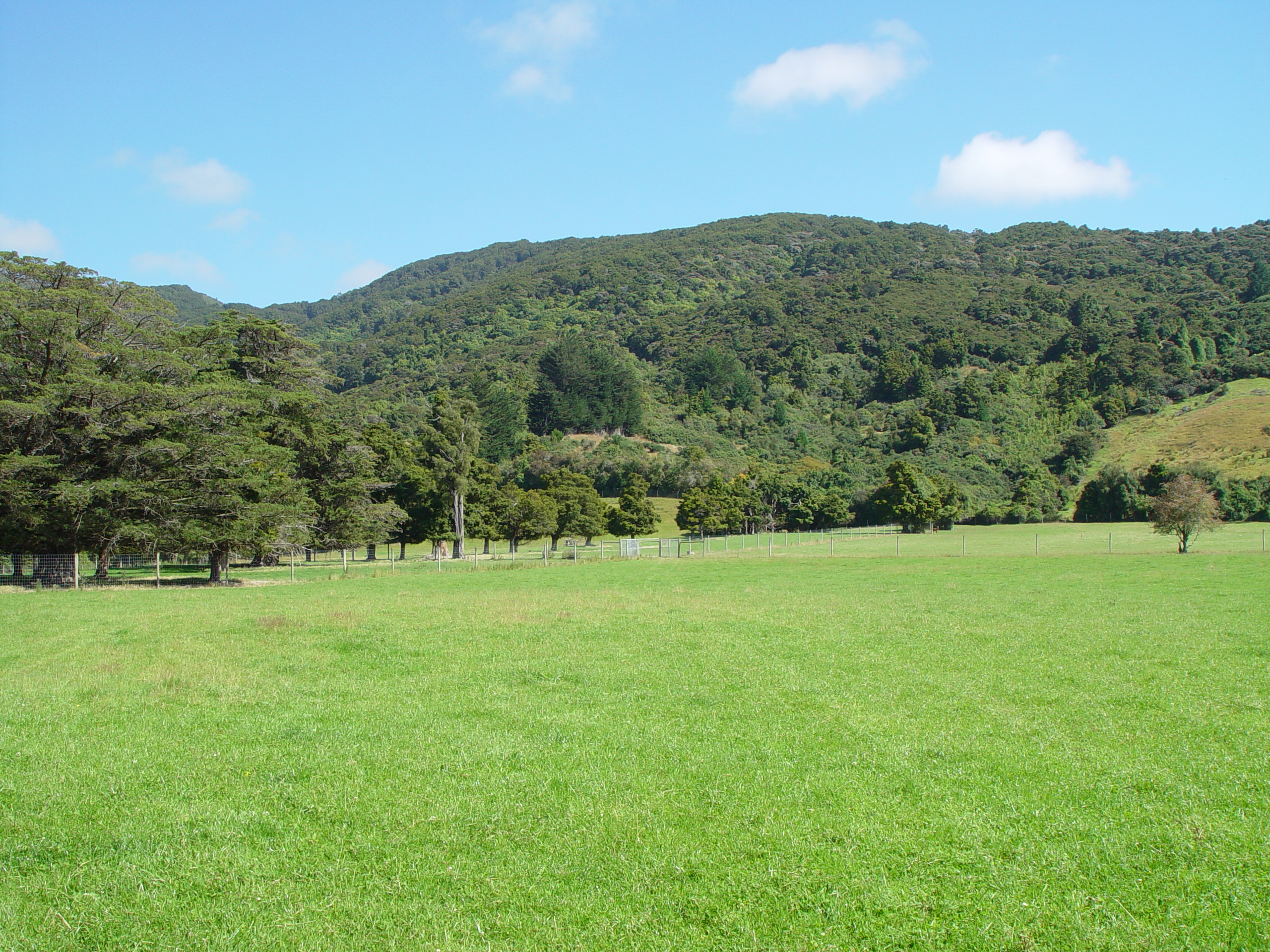 125 Woodside Road, Outram, Dunedin, 0 Kuwarto, 0 Banyo, Grazing