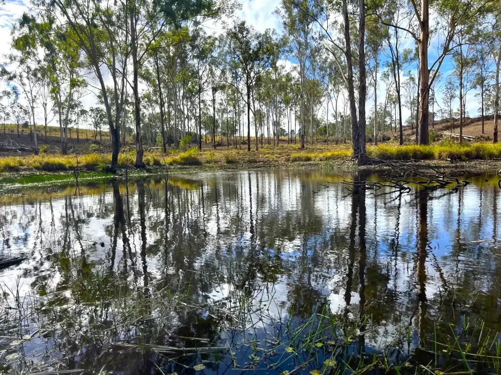 Brooklands Affordable Lifestyle Getaway Block – South Burnett
