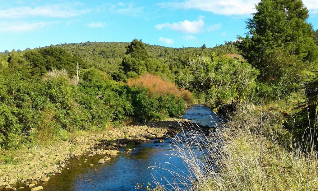 Omapere West Coast Rural Lifestyle Awaits!