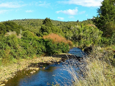 Omapere  West Coast Rural Lifestyle Awaits!