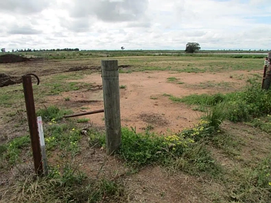 LOT 24 & 25 Corack Rd, Birchip, VIC 3483, 0房, 0浴, Section