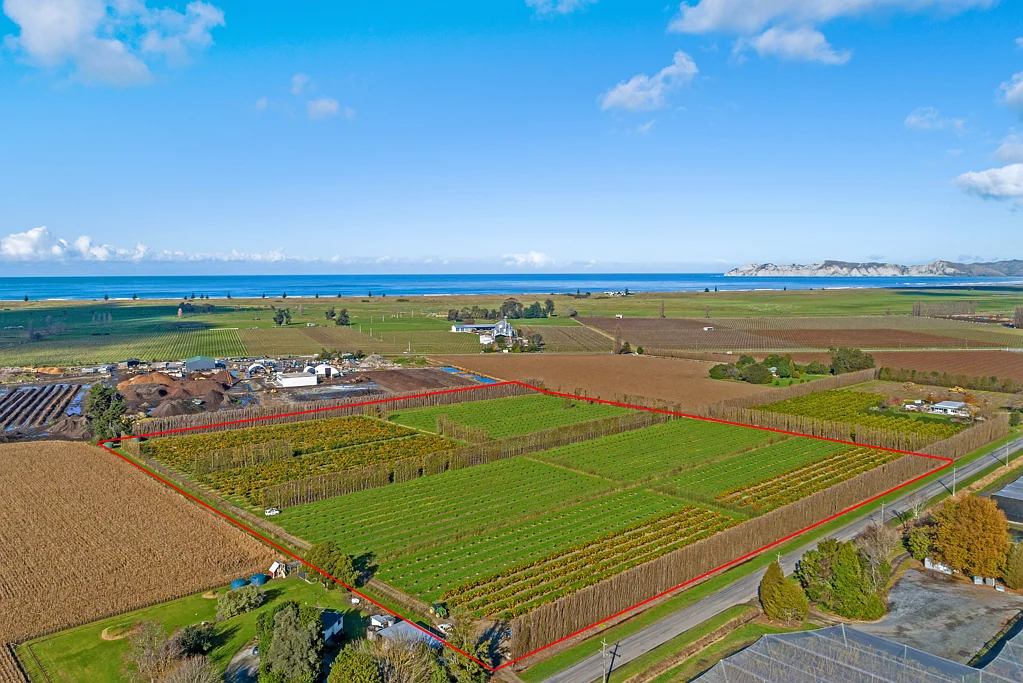 Matawhero  Prime horticultural holding with industrial zoning