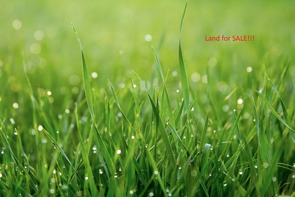Rouse Hill 5ห้องนอน ?? Prime Vacant Land for Sale in Rouse Hill!