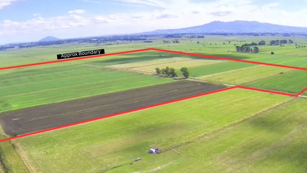 Temple View  40 Hectares Near City Boundary!