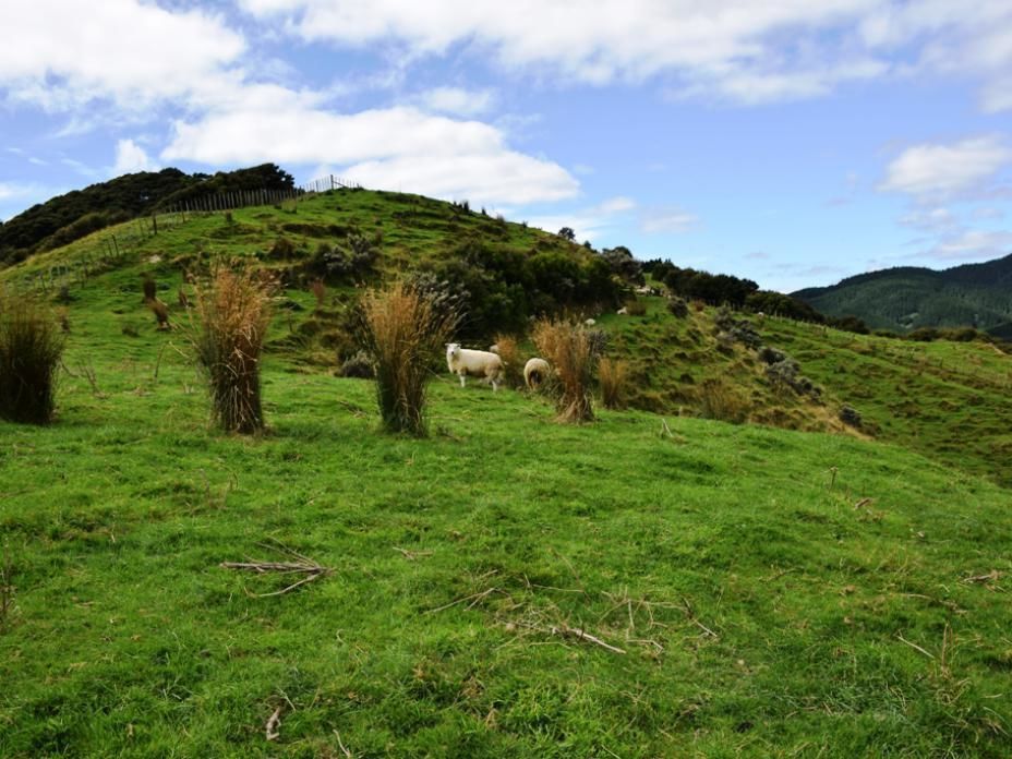 18 South Manakau Road, Manakau, Horowhenua, 4 침실, 0 욕실